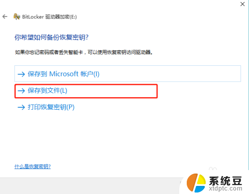 bitlocker加密移动硬盘好吗 Windows10如何使用BitLocker加密移动硬盘