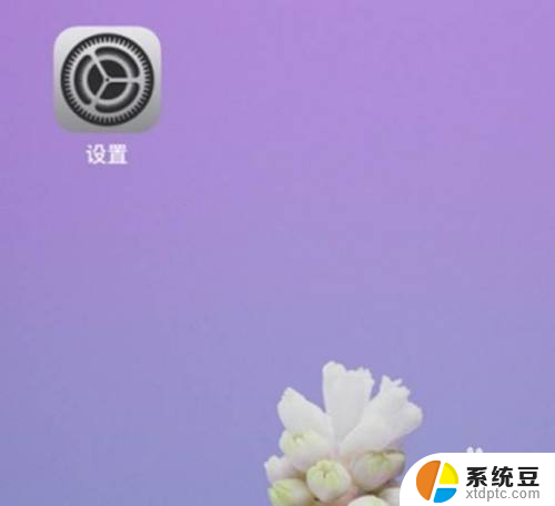 怎么调闹钟的声音 iPhone手机调闹钟音量的设置方法