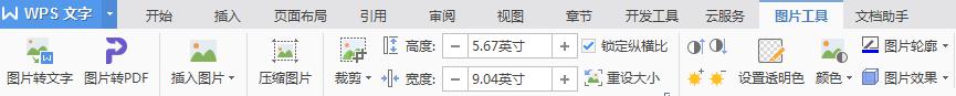 wps文字插入图片后看不见尺寸 wps文字插入图片后无法调整图片尺寸