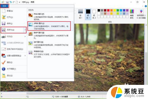 win10怎么修改图片像素 win10图片编辑器怎么修改照片像素