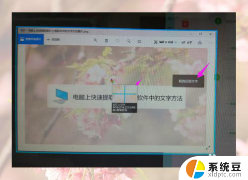 win10怎么提取图片中的文字 软件中的文字怎么快速提取复制