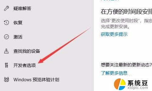 windows10开发者选项 Win10如何打开开发者选项