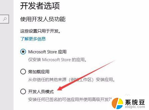 windows10开发者选项 Win10如何打开开发者选项