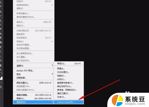 ps的camera raw怎么打开 Camera RAW在ps中的打开方法